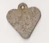 dogtag.webp