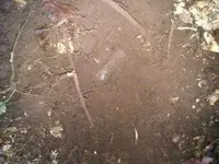 1285595851777.webp
