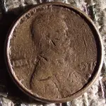 penny_head.webp penny_head.webp