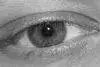 avatar_35492.webp