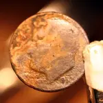NC FINDS 10-23 005.webp