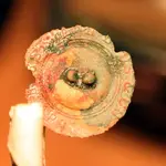 NC FINDS 10-23 018.webp