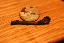 NC FINDS 10-23 012.webp