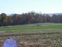 PICT0171.webp