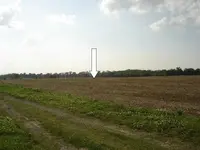 Location.webp