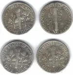 Silver back.webp