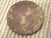 1807 LC Back.webp