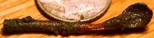 NC FINDS 10-23 012.webp