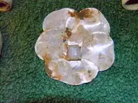 DSCN4781.webp