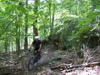 OHIO.webp