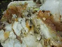 rock3.webp