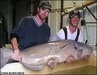 bigblue121.webp