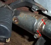 dcp_0003 copy.webp