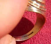 DSCN4247.webp