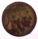 1918_17 Buff Front.webp