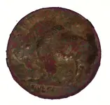 1918_17 Buff Back.webp