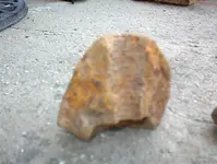 DSC00009.webp