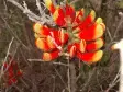 avatar_35668.webp