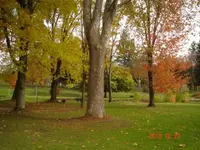 metal detecting 046.webp