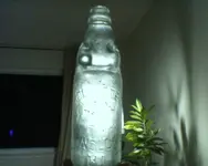 Clean_Hollister.webp