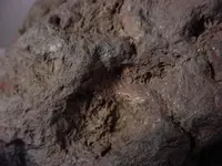 space rock 004.webp