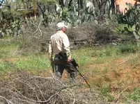 2 Oct 2010 Battle of Medina dig.webp
