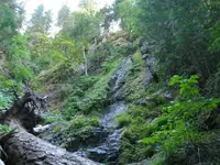 170_7010.webp 170_7010.webp