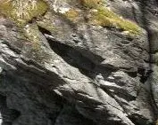 arrow head[2].webp