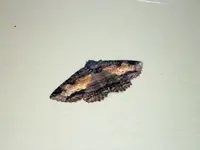 P9260230.webp