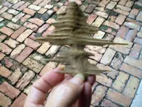 P9260234.webp