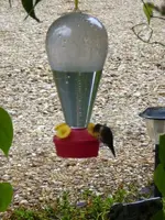 P9260231.webp