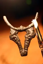 NC FINDS 10-5 014.webp