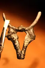 NC FINDS 10-5 015.webp