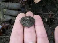 NOV 17TH HUNT WITH FRANK SHOT MASS COPPER 003 [].webp
