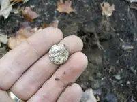 NOV 17TH HUNT WITH FRANK SHOT MASS COPPER 008 [].webp
