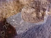 10-9-22-73.webp