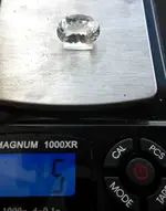 AquaMScale.webp