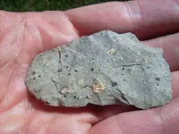 Logan County Chert.webp