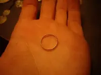 IMGP2503.webp