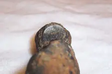 Coin_Closeup_1.webp