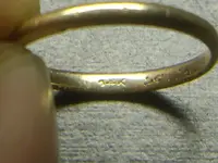 IMGP2508.webp