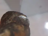Coin_Closeup_3.webp