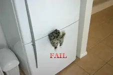 FAIL.webp