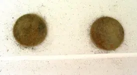 DSCN3129.webp
