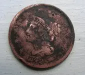 DSCN3132.webp