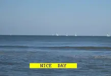 1181.webp
