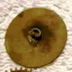 button.webp