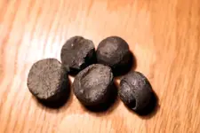 NC FINDS 9-15 021.webp