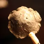 NC FINDS 9-15 020.webp