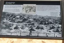 tents 4.webp